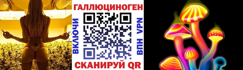Галлюциногенные грибы мицелий  магазин продажи   Элиста 
