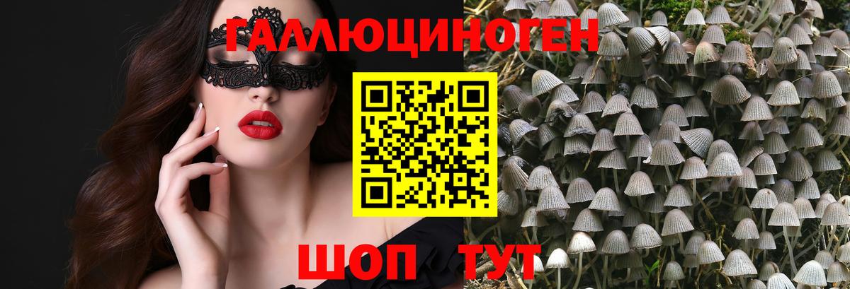 Псилоцибиновые грибы MAGIC MUSHROOMS  Галлюциногенные грибы Psilocybe  Элиста  Вход с VPN 