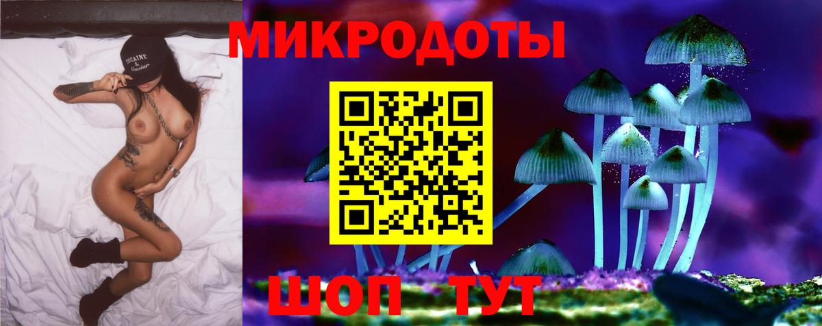 Псилоцибиновые грибы Psilocybe Элиста