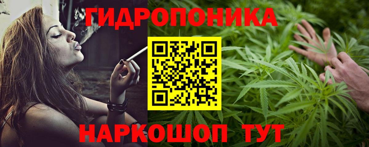 Бошки марихуана THC 21%  Марихуана MAZAR  Бошки марихуана MAZAR  Элиста  Вход с VPN 